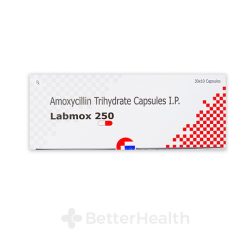 ラボモックス - アモキシシリン（Labmox - Amoxicillin）