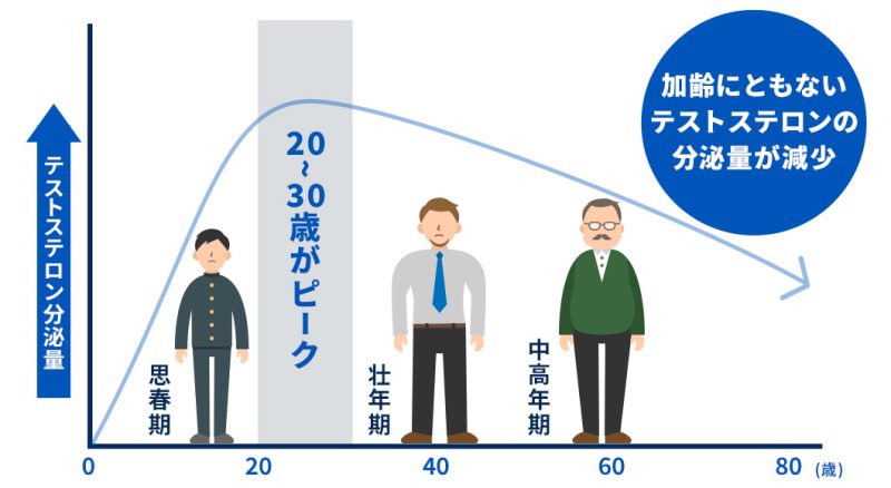 男性ホルモンの減少